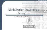 Modelización de Sistemas Biológicos · 2014-10-22 · 6 Modelización de Sistemas Biológicos Simulación de Eventos Discretos •Modelado de un sistema que evoluciona en el tiempo