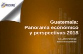 Guatemala: Panorama económico...• Bajo déficit en la cuenta corriente de la balanza de pagos. • Reservas monetarias adecuadas • Mejorar la competitividad • Mejorar clima