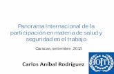 Panorama Internacional de la participación en materia de salud y seguridad en el …white.lim.ilo.org/spanish/260ameri/oitreg/activid/... · 2013-12-16 · • Se crean el comité