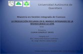 Universidad Autónoma de Querétaro - FCN|UAQfcn.uaq.mx/crcc/docs/produccionpecuaria.pdfinfraestructura No criterios claros para selección de pie de cría Rebaños pequeños Experiencia