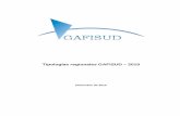 Tipologías regionales GAFISUD – 2010pplaft.cnbs.gob.hn/wp-content/.../Tipologías-Regionales-GAFISUD-2010.pdf · el concepto de tipología y su rol en la elaboración y posterior
