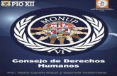 Consejo de Derechos Humanoslos derechos humanos son constantemente violados. Hace recomendaciones o ... Declaración Universal de los Derechos Humanos (DUDH). Después de la Segunda