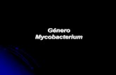 Presentación de PowerPointdepa.fquim.unam.mx/bacteriologia/pdfs/nuevos51118/...Mycobacterium • INH inhibe la síntesis de ácidos micólicos • Emb inhibe la producción de arabinogalactanas