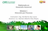 Diplomado en Desarrollo Gerencial Módulo I: Dirección por Procesoskmsolucion.com/km30/images/Tareas CFE/Ramon Alberto Diaz... · 2015-09-05 · Ejercicio de Gung Ho 4.- ... Mi visión
