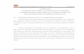 Universidad de las Américas Puebla - CAPÍTULO II “EL RIESGO …catarina.udlap.mx/.../lcp/gonzalez_g_e/capitulo2.pdf · 2004-09-23 · Fundación Universidad de las Américas –