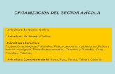 Universidad de Castilla - La Mancha - ORGANIZACIÓN DEL … · 2012-09-12 · de enfermedades en Asia y a las condiciones del clima, particularmente, en la producción de granos para