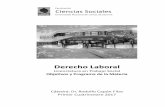 DERECHO LABORAL - Cs Sociales UNLZ · 2018-11-05 · Derecho Laboral - Licenciatura en Trabajo Social Objetivos y Programa de la Materia 2017 9 Cátedra Dr. Rodolfo Capón Filas II.
