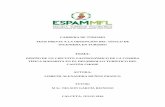 TEMA - Repositorio Digital ESPAM: Página de iniciorepositorio.espam.edu.ec/bitstream/42000/269/1/TT57.pdf · de cuatro fases, en la primera fase se elaboró el diagnóstico turístico