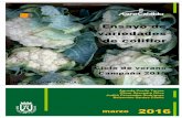 Ensayo de variedades de coliflor - AgroCabildo · Se llevó a cabo un ensayo para determinar la adaptación de los cultivares de coliflor suministrados por las casas comerciales a
