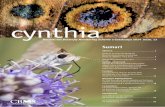 cynthia · (més d’un terç) que tenen 10 anys o més de dades, i 15 que en tenen 15 anys o més. Estat de la xarxa del Butterfly Monitoring Scheme a Catalunya, Andorra i Balears