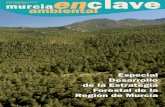 Nº 17 • 2008 • Año 6 - Murcia enclave ambiental · 2010-03-01 · de la Estrategia Forestal de la Región de Murcia 34 Principales retos de la Estrategia Forestal para el 2012