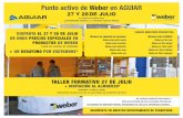 Punto activo de Weber en AGUIARaguiar.es/wp-content/uploads/2016/07/Nueva-gama-colas-y...2015 weber.col lanic weber.col lanic super weber.col flex super 2016 11 weber.col flex weber.col