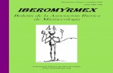 ISSN 1989-7928 IBEROMYRMEX nº1.pdf · El milagro del que hablo es el de la existencia de la Asociación Ibérica de Mirmecología (AIM). Una necesidad creada desde nuestro querido