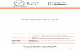 CONTADOR PÚBLICO - Universidad Autonoma de Tamaulipas Curriculares/CONTADOR PUBLICO.pdf · negocios comerciales y de servicios en la región tienen orígenes familiares, lo cual