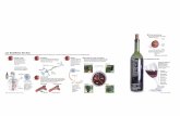 Los beneficios del vino · Composición del vino Compuestos polifenólicos Responsables de los beneficios orgánicos e inmunes del vino. Su presencia oscila entre los 1,8 y los 4,06