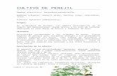 CULTIVO DE PEREJIL - UNCagro.unc.edu.ar/~paginafacu/Catedras/cultivos/Perejil.docx · Web viewLa semilla es muy lenta de germinar como en el resto de las Apiáceas, tardando para