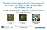 Análisis de la propagación de tres especies de Importancia ... · obtener material vegetal de S.carbonellii,B.fischeriyL.peruviana. Específicos: • Evaluar la propagación sexual