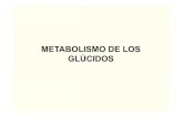 METABOLISMO DE LOS GLÚCIDOS - Infomeduvsfajardo.sld.cu/sites/uvsfajardo.sld.cu/files/nueva_conf._glucogeno... · regulacion coordinada del metabolismo del glucogeno sintetasa (a)