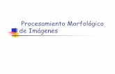 Procesamiento Morfológico de Imágenesdsp1.materia.unsl.edu.ar/Procesamiento Morfologico.pdf · Procesamiento Morfológico de Imágenes. 2 Morfología Matemática Se usa para extraer