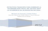 ESTRATEGIA FINANCIERA PARA DISMINUIR LA … Proteccion Financiera... · institucional y el contexto de la gestión del riesgo de eventos naturales en la historia reciente de Colombia.