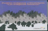 Pueblos Indígenas y Ciudadaníasipi.info/repositorio/archivo/pdf36.pdf · MOSEIB Modelo de Educación Intercultural Bilingüe OIT Organización Internacional del Trabajo ONG Organización