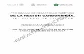 PROGRAMA DE DESARROLLO TURÍSTICOinai.fonatur.gob.mx/Art70/FrXLI/2015/ESTUDIOS/Region Carbonifera.pdf · Programa de Desarrollo para la Región Carbonífera2014-2017, 1.2.3.2.A Plan