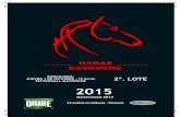 HARAS GAVROCHE · 2018-10-27 · conjunto de la asociaciÓn de criadores del caballo puro de carrera (accpc) y de la asociaciÓn uruguaya de propietarios de caballos de carrera (apc).