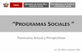 Programas Sociales en el Perú - congreso.gob.pe · Eje 07 •De «servicios para pobres», basados en la disponibilidad de productos y que sufren una merma en la calidad por estar