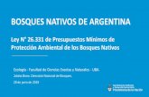 BOSQUES NATIVOS DE ARGENTINA Obras Hidráulicas · Obras Hidráulicas Portezuelo del Viento BOSQUES NATIVOS DE ARGENTINA Ley N° 26.331 de Presupuestos Mínimos de Protección Ambiental