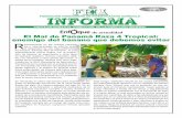 de actualidad El Mal de Panamá Raza 4 Tropical: enemigo del …fhia.org.hn/dowloads/fhia_informa/fhia_informa_septiembre_2015.pdf · Riesgo para Honduras En Honduras existen alrededor