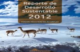 Reporte de Desarrollo Sustentable 2012 - Collahuasi · del sistema de gestión de riesgos en toda la compañía y para priorizar la aplicación e integración de los 7 estándares