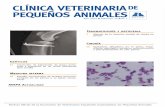 CLÍNICA VETERINARIA · 2015, Vol. 35, n 1 Editorial 3 2015, Vol. 35, nº 1 Medicina basada en la evidencia en veterinaria E stimados colegas, La medicina basada en la evidencia (MBE)