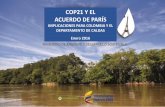 COP21 Y EL ACUERDO DE PARÍS - Concejo de …...CIRCUNSTANCIAS NACIONALES DE COLOMBIA QUE SE LLEVARON A LA COP21 Adaptación es prioridad nacional pérdidas estimadas por cambio climático