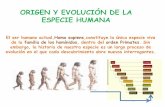 ORIGEN Y EVOLUCIÓN DE LA ESPECIE HUMANAbyg.domenicoscarlatti.es/javier/cc1/doc... · • El aumento del grado de encefalización ,que es la relación entre el tamaño del encéfalo