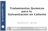 Z i nc Tratamientos Químicos para la Galvanización en Caliente · QUIMICA DEL CAMPO Ltda. CHILE: San Eugenio 600, Santiago, Chile l Fono: +56 2 2239 20 50 l Fax 2239 18 11 Introducción