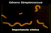 Presentación de PowerPoint - UNAMdepa.fquim.unam.mx/bacteriologia/pdfs/nuevos1018/... · 2018-10-11 · S. aureus: La liberación de la TSST-1 ocurre in situ; ésta se absorbe hacia