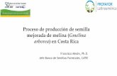 Producción de semillas forestales mejoradas: experiencias ... de melina y... · especializada en agricultura y recursos naturales, ... la investigación y la proyección externa.