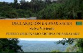 DECLARACIÓN KAWSAK SACHA - klimabuendnis.org...amazónicos declarado Kawsak Sacha - Selva Viviente. Además, hacemos un llamado a los pueblos y nacionalidades nacionales e internacionales