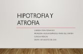 HIPOTROFIA Y ATROFIA - WordPress.com...HIPOTROFIA Y ATROFIA CABRERA MORA FERNANDO PROFESORA :AGUILAR ESPÍNDOLA MARÍA DEL CARMEN CLÍNICAS MÉDICAS GRUPO 1307 AGOSTO DEL 2018.DEFINICIÓN