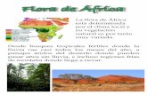 Flora de £¾frica - Intendencia de 2019-02-27¢  Flora de £¾frica La flora de £¾frica esta determinada