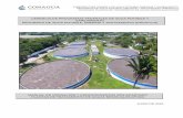 GERENCIA DE PROGRAMAS FEDERALES DE AGUA POTABLE Y SANEAMIENTO PROGRAMA DE … · 2019-07-17 · tratamiento de las aguas residuales. En materia de saneamiento, si bien se han logrado
