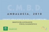 CMBD - Junta de Andalucía(CIE-9-MC), 7ª edición publicada en castellano por el Ministerio de Sanidad y Consumo. Esta edición ha actualizado la terminología utilizada en anteriores