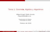 Tema 1: Geometr a, Algebra y Algoritmos...Tema 1: Geometr a, Algebra y Algoritmos Miguel Angel Olalla Acosta miguelolalla@us.es Departamento de Algebra Universidad de Sevilla Febrero