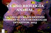 CURSO BIOLOGÍA ANIMAL · Generalidades de Porifera. 1 •Son mayoritariamente marinos, sésiles y carecen de auténticos tejidos. ... otros tipos celulares según las necesidades