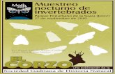 Resultados del muestreo nocturno de invertebradossociedadgaditanahistorianatural.com/wp-content/... · Morión, José Manuel Amarillo, José María García, Juan García, Marián