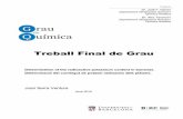 Treball Final de Grau - UBdiposit.ub.edu/dspace/bitstream/2445/138019/1/TFG_QU Serra Ventura, Joan.pdf · germana durant tots aquests anys, els seus consells i la seva comprensió