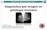 Diagnóstico por imagen en patología mamaria · Principales Indicadores Diagnostico por imagen en patología mamaria 4ª ronda (2003-2004) 5ª ronda (2005-2006) 6ª ronda (2007-2008)