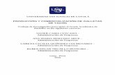 Producción y comercialización de galletas de yacónrepositorio.usil.edu.pe/bitstream/USIL/3274/3/2016_Cama... · 2019-03-11 · UNIVERSIDAD SAN IGNACIO DE LOYOLA PRODUCCIÓN Y COMERCIALIZACIÓN