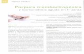 y bartonelosis aguda en Huarazrepebis.upch.edu.pe/articulos/rev.viernesmed/v31n5/a3.pdf · 2011-12-27 · plenomegalia y ascitis (ecografía), hipoalbuminemia, efusión pericárdica