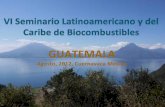 GUATEMALA - OLADE · del biocombustible. La implementación de normas jurídicas, las cuales exigen complicadas negociaciones con todos los sectores involucrados y con fuerte intereses